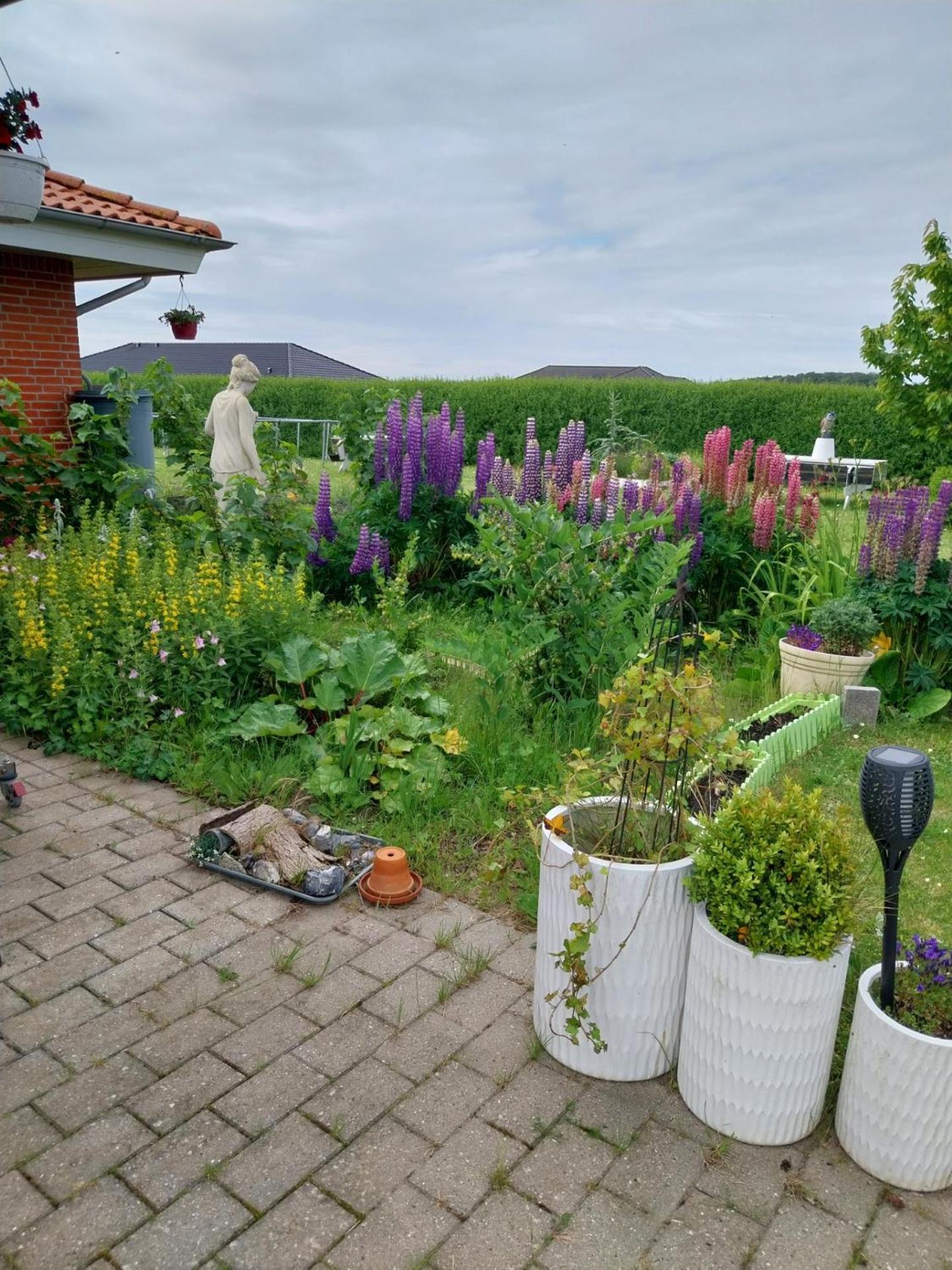 Falster Vaerelse Vaeggerlose Exterior photo